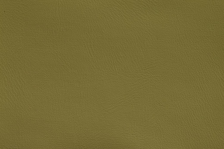 MARE 10006